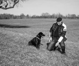 BAD DOG-Schule für Problemhunde ZH AG Bild 1