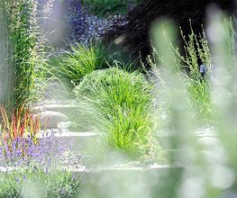 GGZ Gartenbau Genossenschaft Bild 7