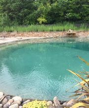 Senegas Piscine image 1