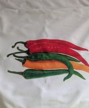 PlotterLilli Bild 10