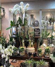 Blumen Interfleur Floristik & Wohnaccessoires Bild 7