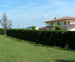 AGS Garten-und Landschaftsbau Bild 10