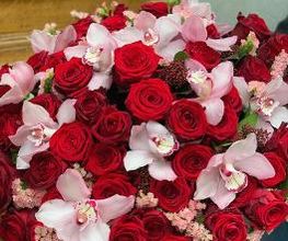 Les Fleuridées Bild 9
