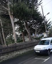 Chauvin Patrick image 1