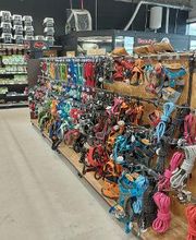 Tom&Co Hautmont - Louvroil image 9