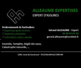 Alleaume Expertises image 4