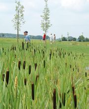 Recreatie 't Lohr afbeelding 3