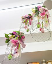 Gallery Professionale