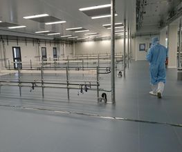 Rambault image 16
