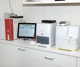 Kleintierklinik Glattfeld AG Bild 3