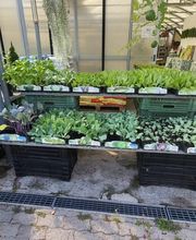 GIARDINI DOS SANTOS CANIÇO Bild 3