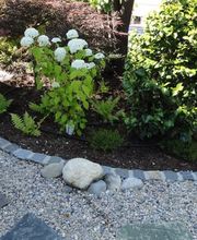 J.N. JARDINS NATURELS CHAVORNAY SA Bild 13