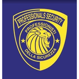 New Security Professional logo