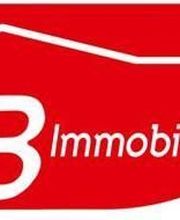 CB Immobilier image 1