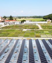 Damien Vivier Pépinières image 5