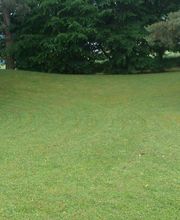 FLORESCENCE image 8