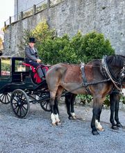 Stall Vogelsang Bild 3