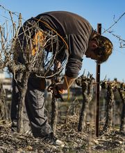 Caveau de Jalès image 3