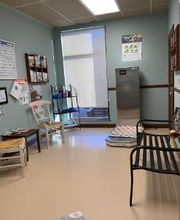 South Franklin Animal Hospital image 5