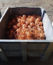 Ferrailleur Reisser image 4