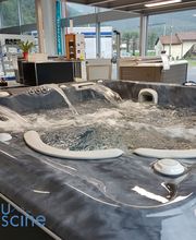 LINEABLU - PISCINE SAGL Bild 1