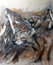 Cedat Marie-Joëlle image 20