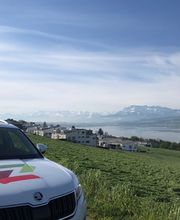 Zaunteam Willimann AG Bild 1