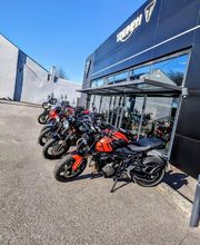 Triumph image 2