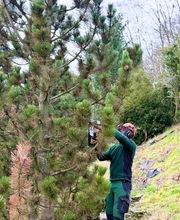 WhatsApp Image 2026-01-31 at 19.27.40 (1).jpeg