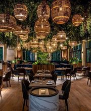 El Coco Loco SAS image 3