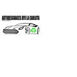 autodesguaces_ayr_calota_cordoba.jpg