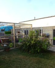 L'arche de Corinne image 14