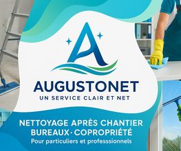 Augustonet image 4