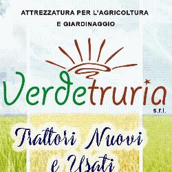 Verdetruria S.r.l. logo