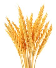 RODI GmbH Bild 9