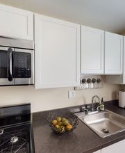 Rugby Square Apartments image 19