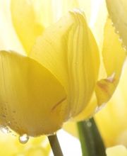 Naturheilpraxis1a.ch - Beatrice Geering Bild 2