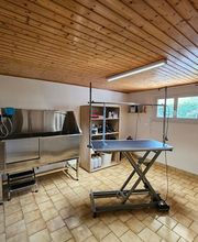 Royet Shanna Toilettage canin image 4