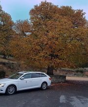 TAXI BÉJAR PACO PLAZA imagen 2