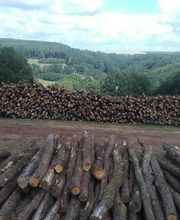 Ads Bois SARL image 12