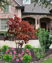 Sundrop Gardens Landscaping image 1