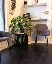 Hundesalon in Liestal - Wir bieten den Tieren eine professionelle Fellpflege. Ein liebevoller und herzlicher Umgang mit Ihrem vierbeinigen Familienmitglied ist für uns oberstes Gebot!