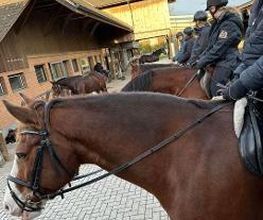 Reitstall Bühl Bild 15