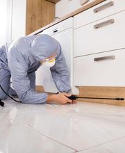 Abando Desinfecciones imagen 18