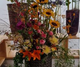 Blumen Hirter Bild 2