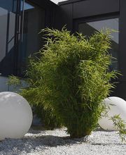 Bechert Haustechnik GmbH Bayreuth Bild 3
