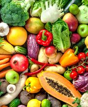 Foodservice Brüning ist ihr zertifizierter Großhandel für Obst, Gemüse, exotische Früchte und Feinkost auf Sylt. Frische, Qualität und zuverlässiger Kundenservice sorgen für eine hohe Zufriedenheit unserer Kunden.

 „Gehe immer mit der Zeit“ ist unser Motto, dies spiegeln wir auch durch unsere vertrauensvolle und freundschaftliche Zusammenarbeit mit unseren Kunden: von der Bestellung bis hin zur Lieferung wider. Wir liefern täglich rund um die Uhr für ihre Zufriedenheit.