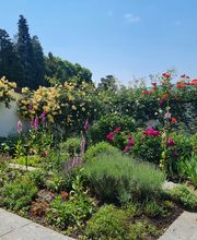 BRÜHWILER-GARTENBAU, BAUMPFLEGE Bild 5