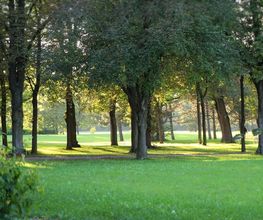 Reichels Parkhotel Bild 7