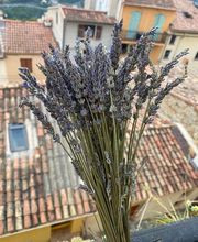 Service des fleurs image 2